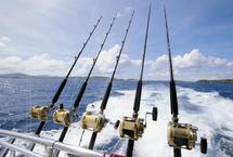Fishing Charters